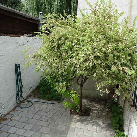 Mur 4 - Apartament z ogródkiem. Stary Toruń Zewnętrze zdjęcie