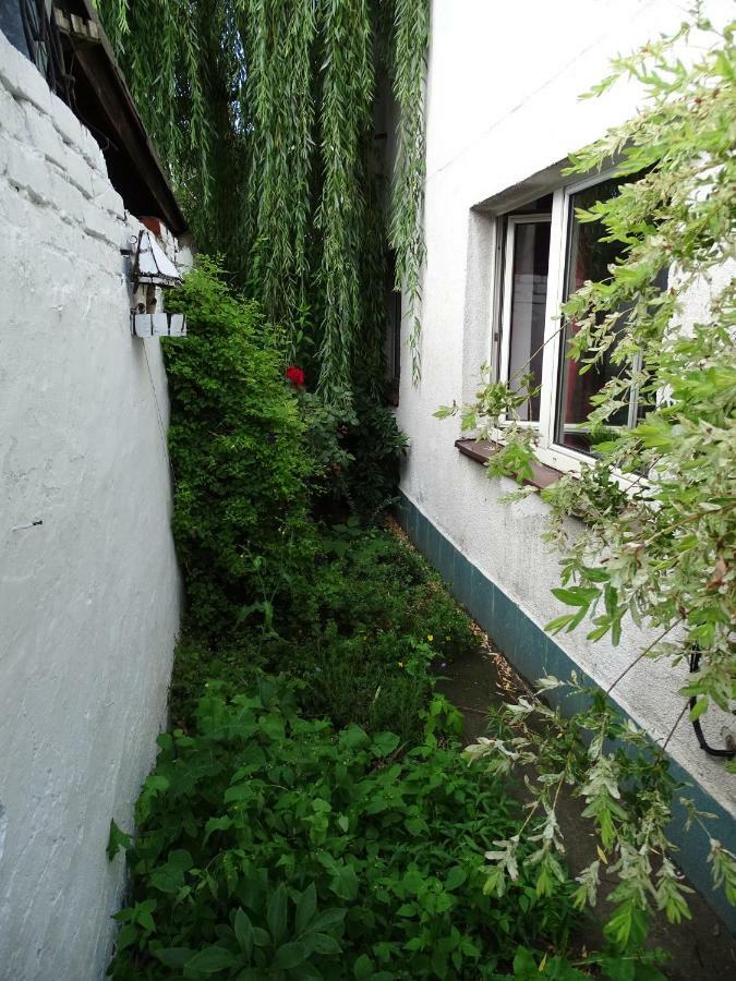 Mur 4 - Apartament z ogródkiem. Stary Toruń Zewnętrze zdjęcie